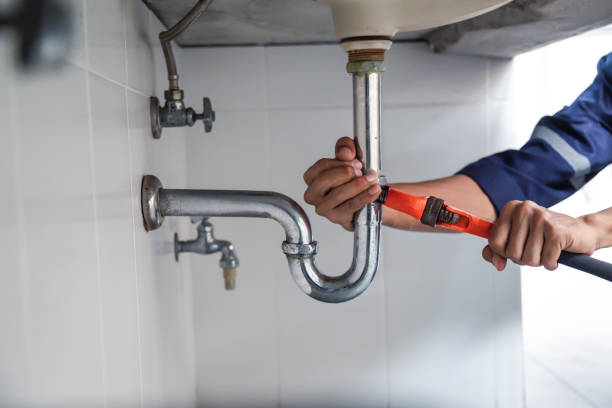 Best Commercial Plumbing Services  in Denmark, WI