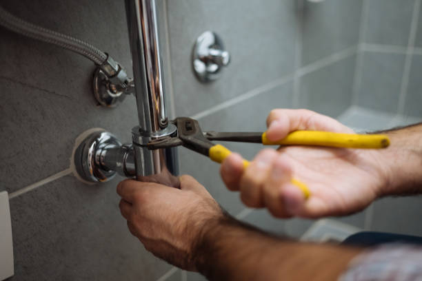 Best Local Plumber Services  in Denmark, WI